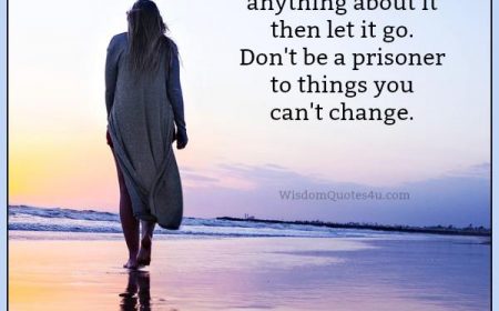 Wisdom Quotes About Life And Happiness Pleasing Wisdom Quotes Offers You Quotes About Life Love Happiness Wisdom Quotes About Life And Happiness Glamorous Wisdom Quotes Offers You Quotes About Life Love Happiness