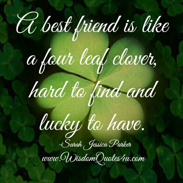 A Best Friend