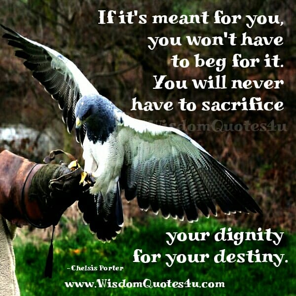 If it's meant for you, you won't have to beg for it