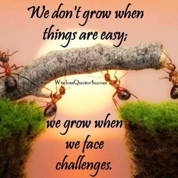 We don't grow when things are easy