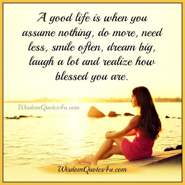 What is a good life?