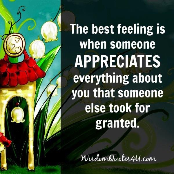 When someone appreciates everything about you