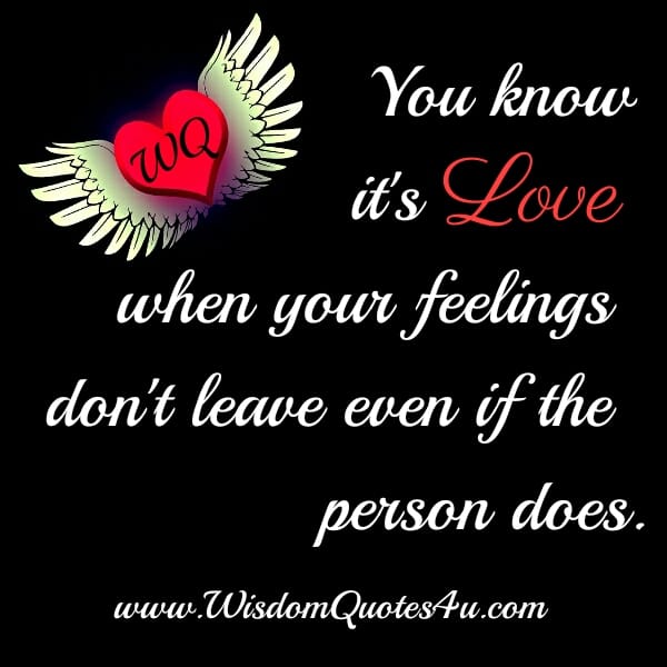 When you know it's true love?