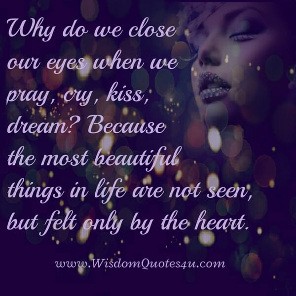 Why do we close our eyes when we kiss?