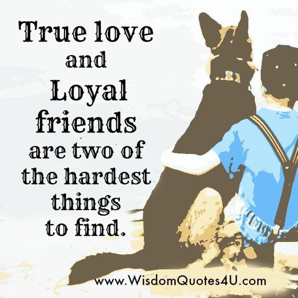 What are the Two Hardest things to find?