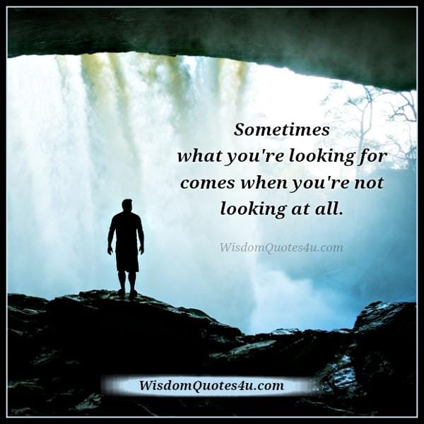 What you are looking for in your life?