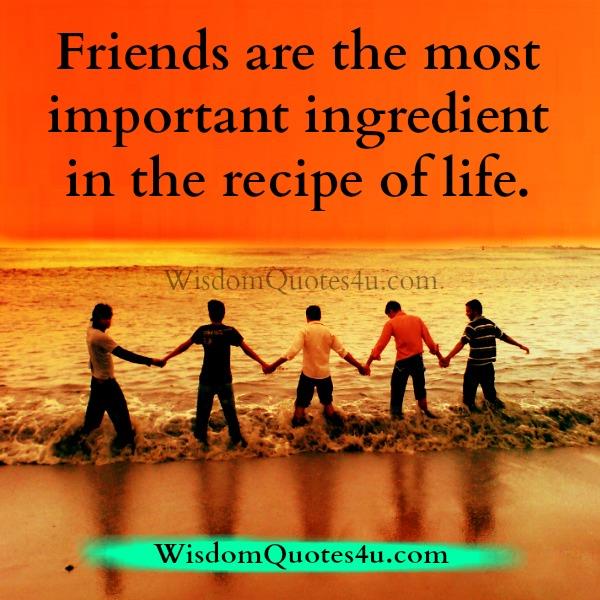 Friends are the most important