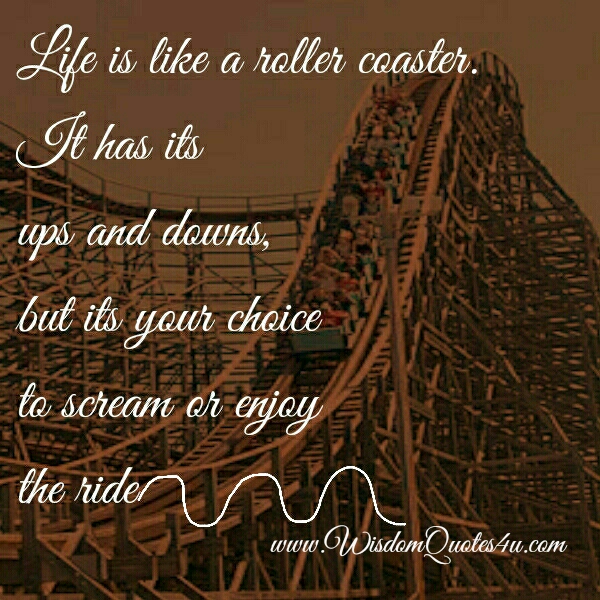 Life is like a roller coaster