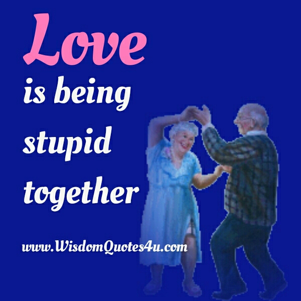 Love is being stupid together