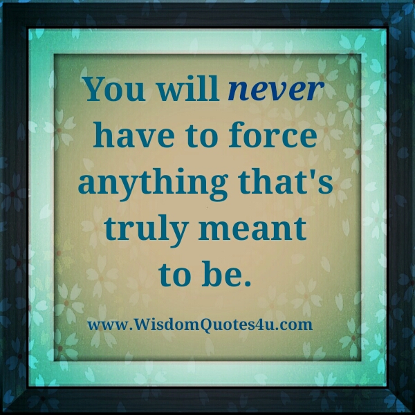 Never Force Anything That S Truly Meant To Be Wisdom Quotes Never Force Anything That S Truly Meant To Be Wisdom Quotes