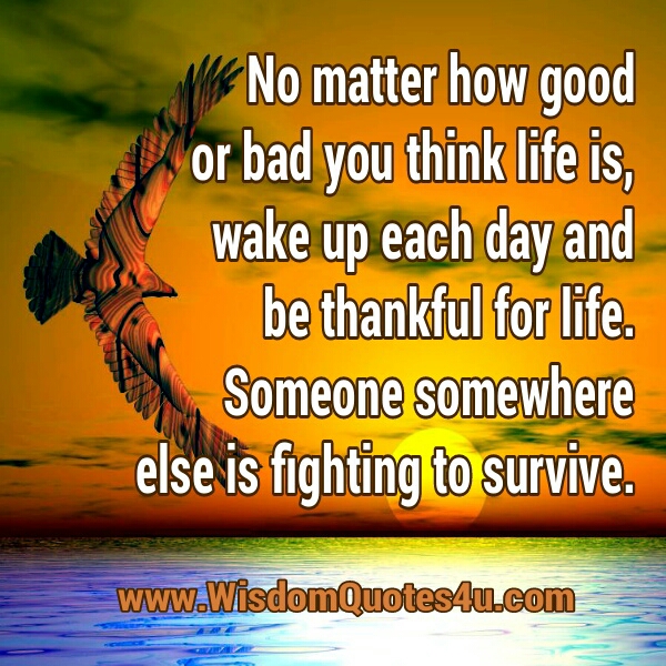 No matter how good or bad you think life is
