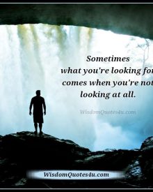 What you are looking for in your life?